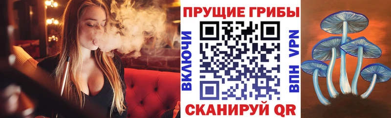 Псилоцибиновые грибы мухоморы  сайты даркнета какой сайт  Фёдоровский 